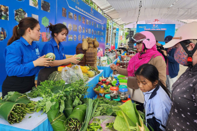 ĐẢNG BỘ XÃ BA DINH TRÊN CHẶNG ĐƯỜNG HÌNH THÀNH – ĐỘT PHÁ – PHÁT TRIỂN